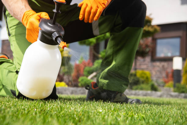 Best Pest Control Near Me in Jackson, CA